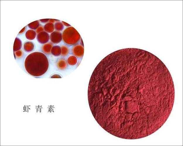 虾青素是什么提取的物质-图片2